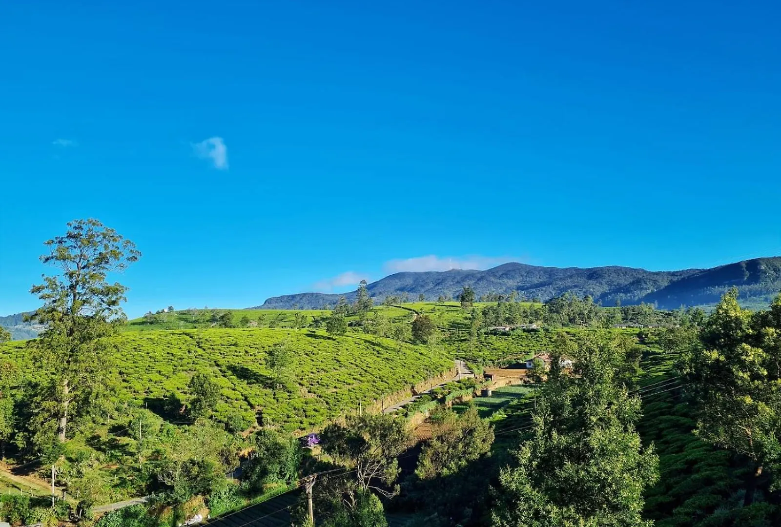 Gregory'S Edge Apartment Nuwara Eliya